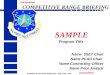 SAMPLE Program Title