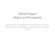 CSCM Project Status and Prospects
