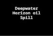 Deepwater Horizon oil Spill