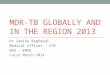 MDR-TB Globally and in the region 2013