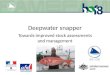 Deepwater snapper