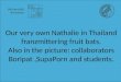 Our very own  Nathalie in Thailand  franzmittering fruit bats 