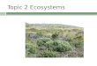 Topic 2 Ecosystems