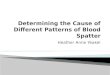 Determining the Cause of Different Patterns of Blood Spatter