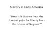 Slavery in Early America