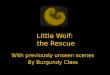 Little Wolf:  the Rescue