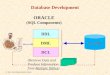 Database Development