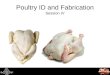 Poultry ID and Fabrication Session IV