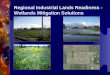Regional Industrial Lands Readiness -  Wetlands Mitigation Solutions