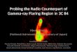 Probing the Radio Counterpart of Gamma-ray Flaring Region in 3C  84