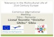 Tolerance in the Multicultural Life of  21st Century Europe