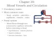 Chapter 20: Blood Vessels and Circulation