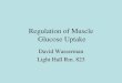 Regulation of Muscle  Glucose Uptake