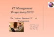 IT Management Perspectives/2010