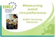 Measuring waist  circumference EHES Training Material