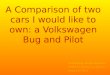 A Comparison of two cars I would like to own: a Volkswagen Bug and Pilot