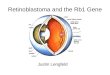 Retinoblastoma and the Rb1 Gene