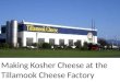 Making Kosher Cheese at the Tillamook Cheese Factory