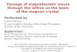 Passage of magnetostatic waves through the lattice on the basis of the magnon crystal