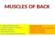 MUSCLES OF BACK