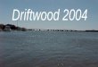 Driftwood 2004