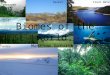 Biomes of the world