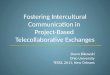 Fostering Intercultural Communication in  Project-Based  Telecollaborative Exchanges