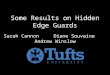 Some Results on Hidden Edge Guards