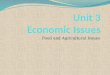 Unit 3  Economic Issues