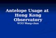 Antelope Usage at  Hong Kong Observatory