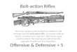 Bolt-action  Rifles
