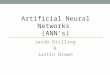 Artificial Neural Networks  (ANN’s)