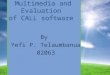 Multimedia and Evaluation  of CALL software