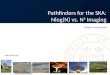 Pathfinders for the SKA: Nlog (N) vs. N 2  Imaging
