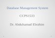 Database  Management System