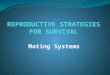 REPRODUCTIVE STRATEGIES FOR SURVIVAL