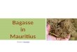 Bagasse i n Mauritius
