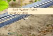 Soil-Water-Plant  Relationship