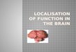 Localisation  of  function  in  the Brain