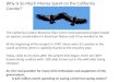 Why Is So Much Money Spent on the California Condor?