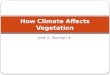 How Climate Affects Vegetation