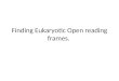 Finding Eukaryotic Open reading frames