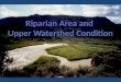 Riparian Area and  Upper Watershed Condition