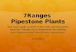 7Ranges  Pipestone Plants