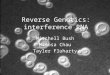 Reverse Genetics: interference RNA
