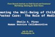 Promoting the Well-Being of Children in Foster Care:  The Role of Medicaid Sheila A. Pires