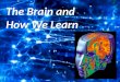 The Brain and How We Learn
