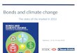 Bonds and climate change The state of the market in 2012
