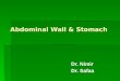 Abdominal Wall & Stomach