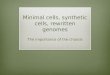 Minimal cells, synthetic cells, rewritten genomes